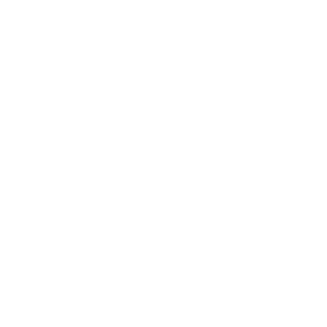 BDK