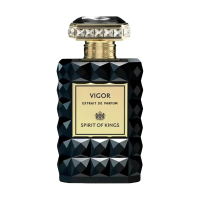 Spirit Of Kings VIGOR тревел