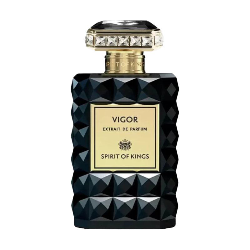 Spirit Of Kings VIGOR тревел