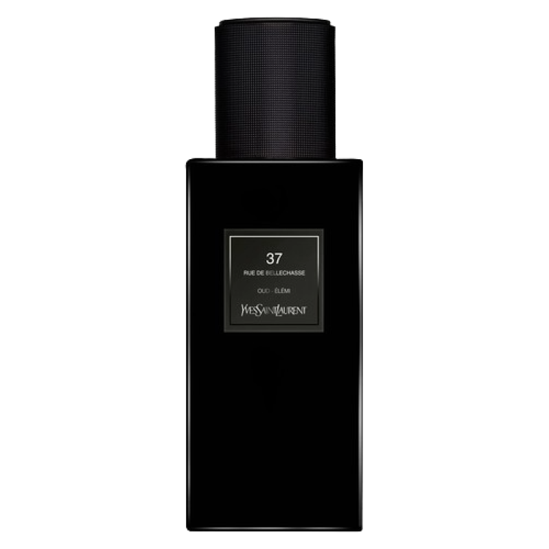 YSL 37 RUE DE BELLECHASSE OUD - ELEMI  ТРЕВЕЛ