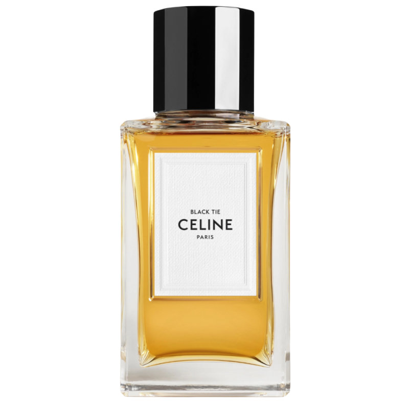CELINE BLACK TIE  ТРЕВЕЛ