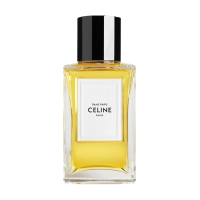 CELINE DANS PARIS  ТРЕВЕЛ