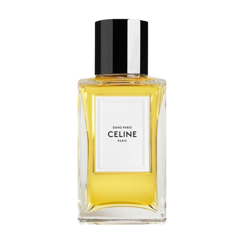 CELINE DANS PARIS  ТРЕВЕЛ
