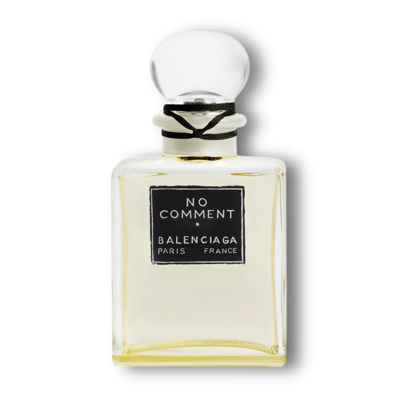 BALENCIAGA NO COMMENT  ТРЕВЕЛ